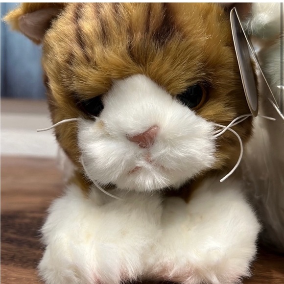 🎁BEARINGTON KITTIES - Picture 3 of 4